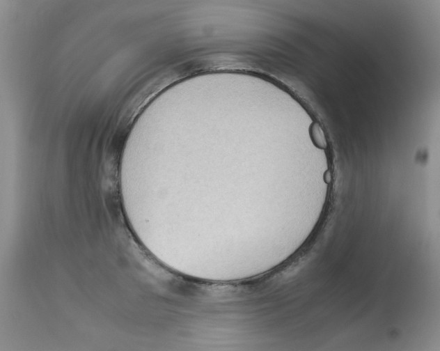 X0000113220897200910221122
