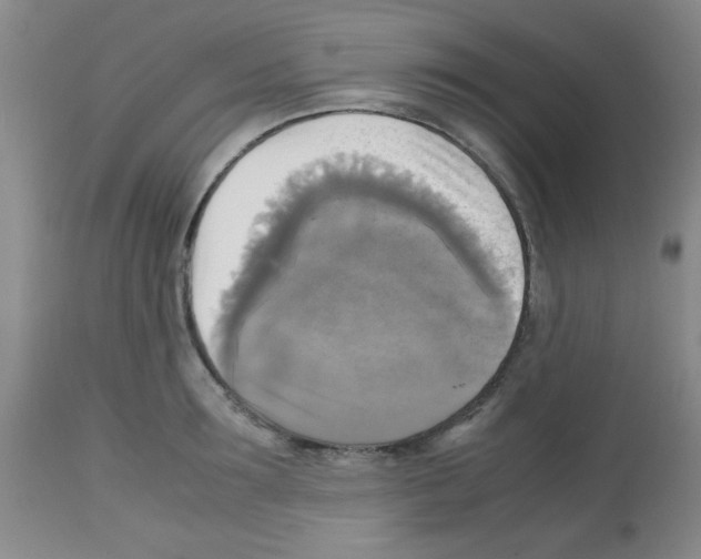 X0000113220899200910221122