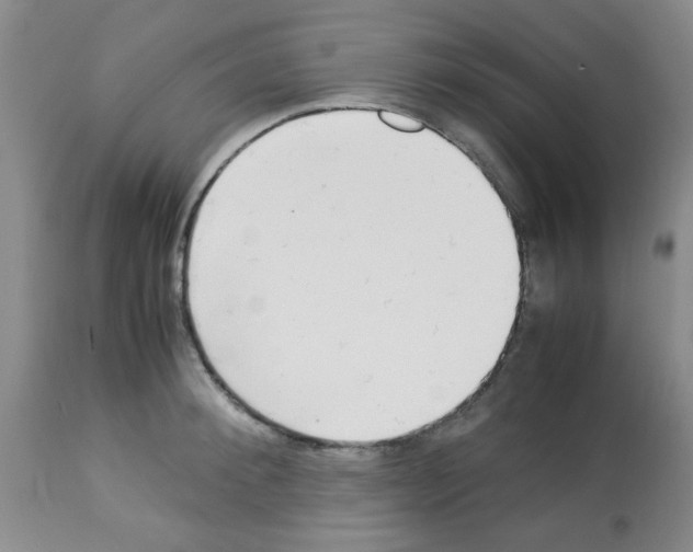 X0000113220900200910221122