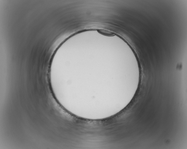 X0000113220901200910221122