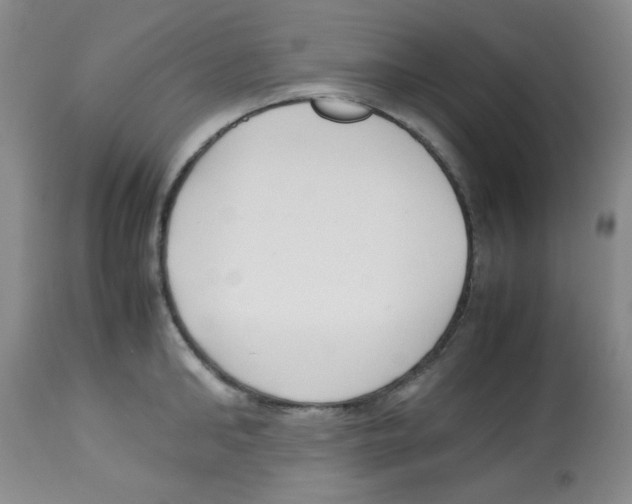 X0000113220902200910221122