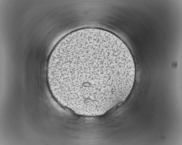X0000113220903200910221122