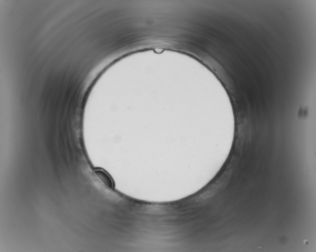 X0000113220904200910221122