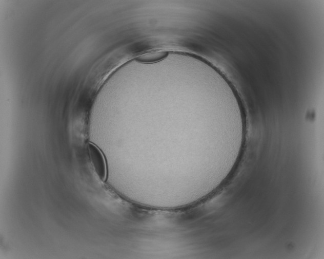 X0000113220905200910221122