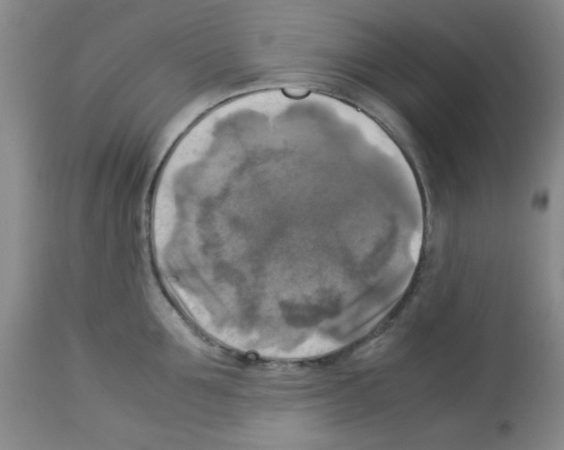 X0000113220907200910221122