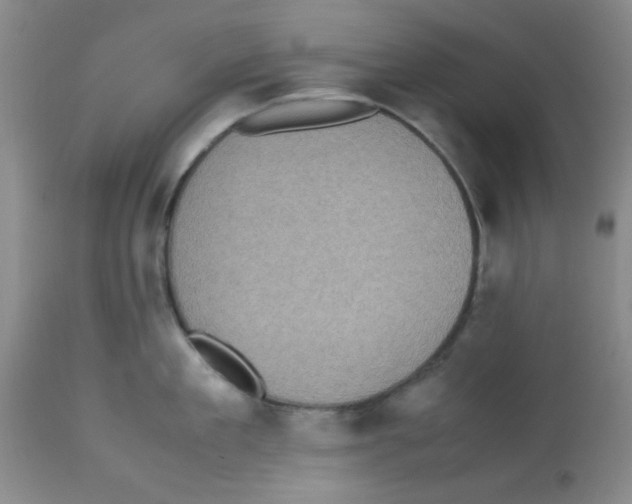 X0000113220909200910221122
