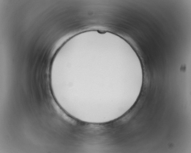 X0000113220910200910221122