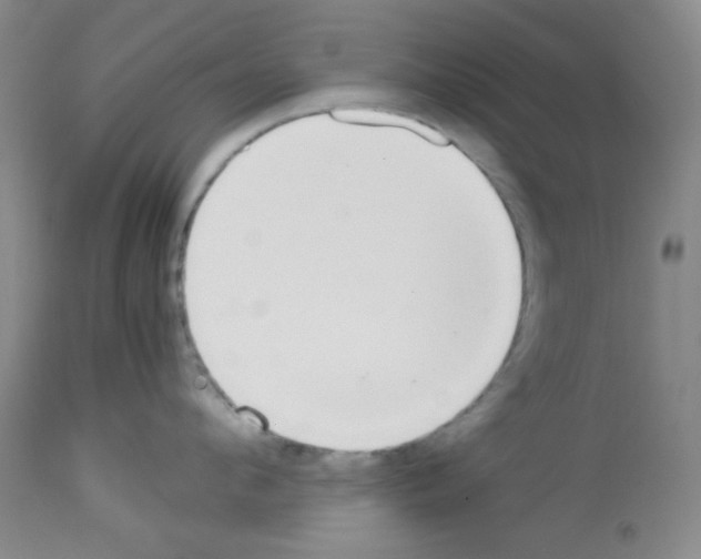 X0000113220912200910221122
