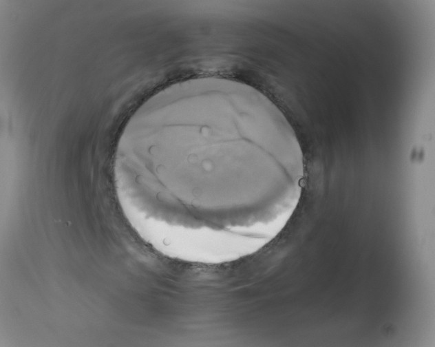 X0000113220913200910221121