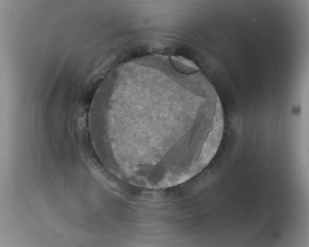 X0000113220914200910221121