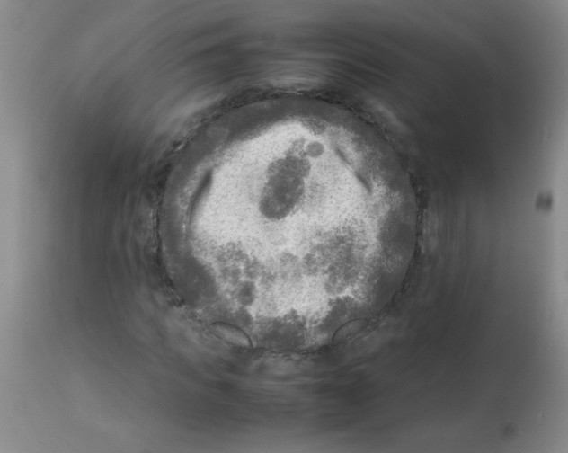 X0000113220917200910221121