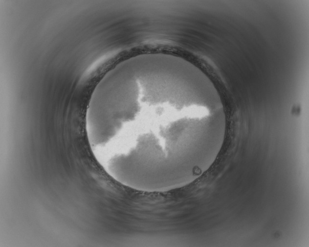 X0000113220919200910221121