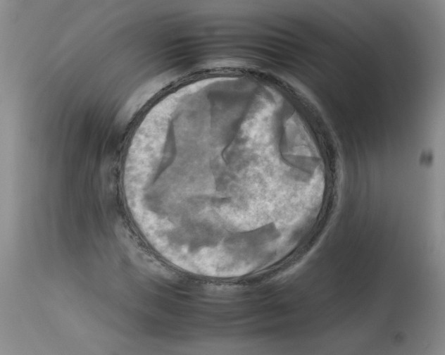 X0000113220921200910221121