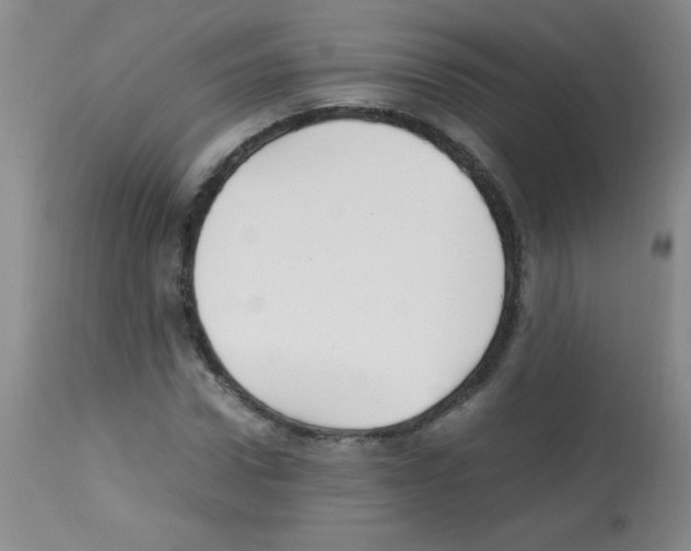 X0000113220922200910221121