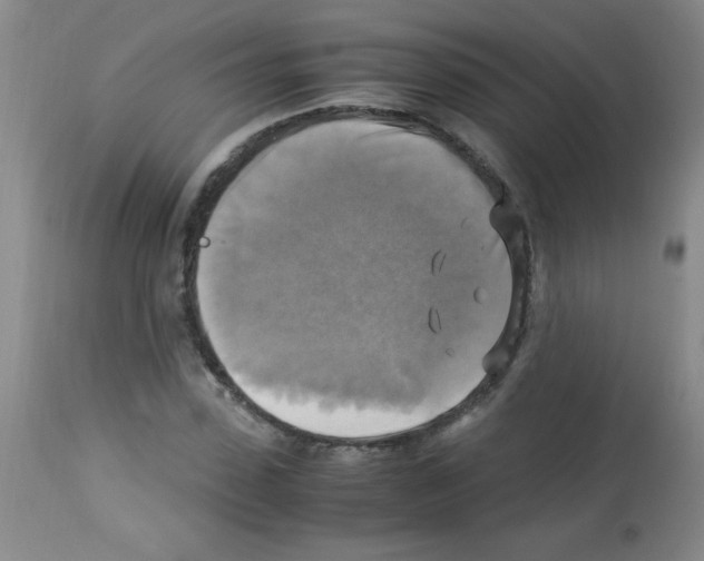 X0000113220923200910221121