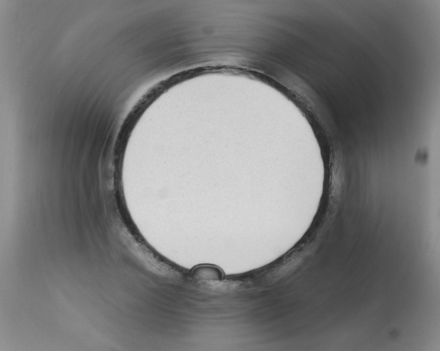 X0000113220924200910221121