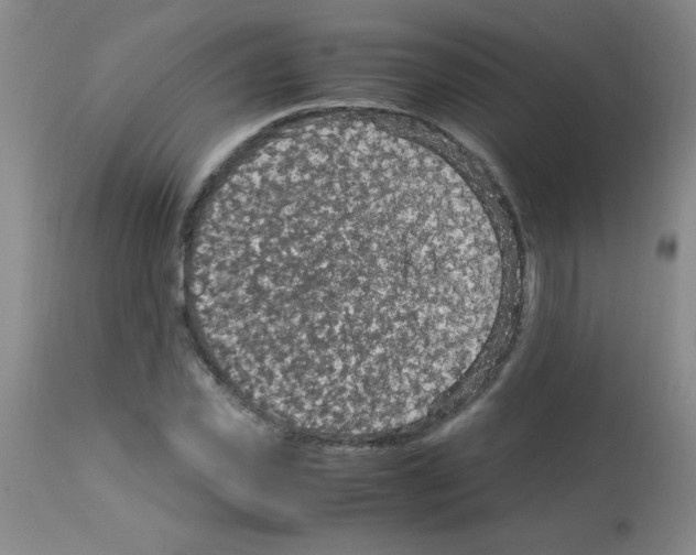 X0000113220925200910221121