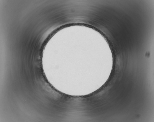 X0000113220926200910221121