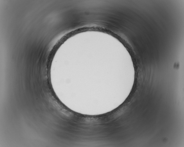 X0000113220927200910221121
