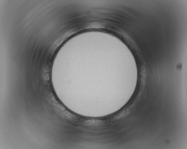 X0000113220929200910221121