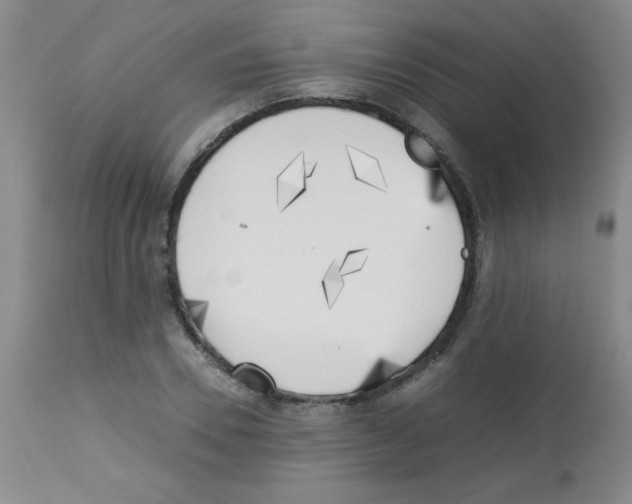 X0000113220930200910221121