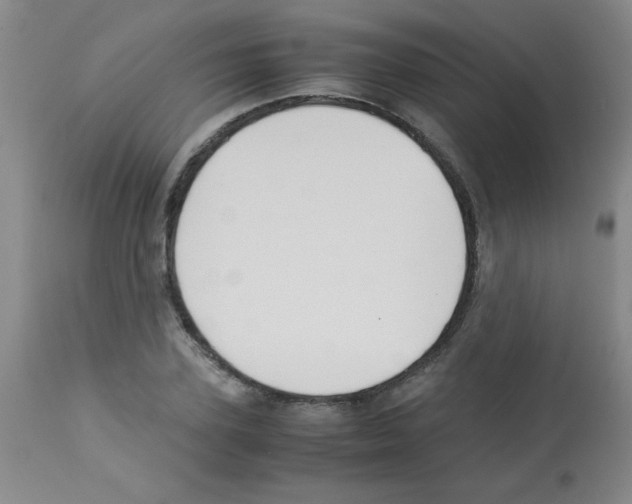 X0000113220931200910221121