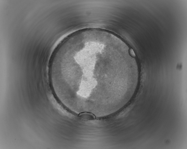 X0000113220932200910221121