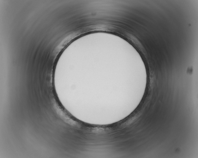 X0000113220938200910221121