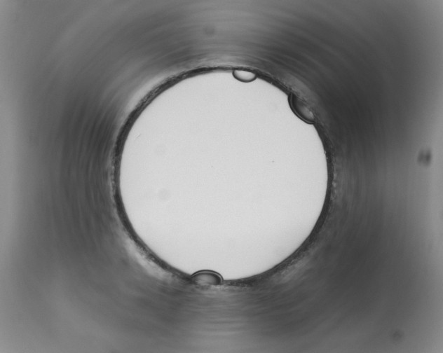 X0000113220942200910221122