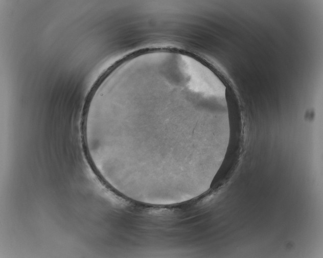 X0000113220943200910221122