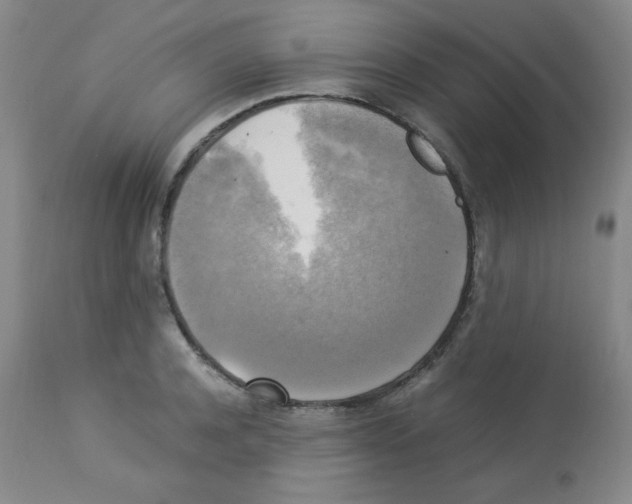 X0000113220944200910221122