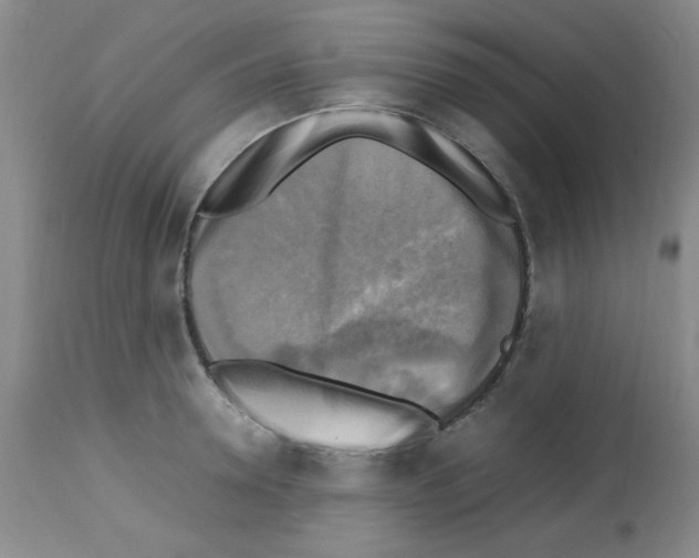 X0000113220946200910221122