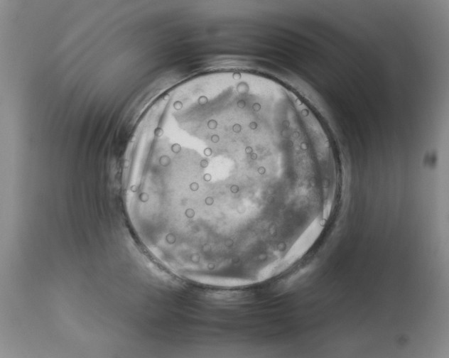 X0000113220953200910221122