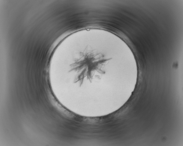 X0000113220955200910221122