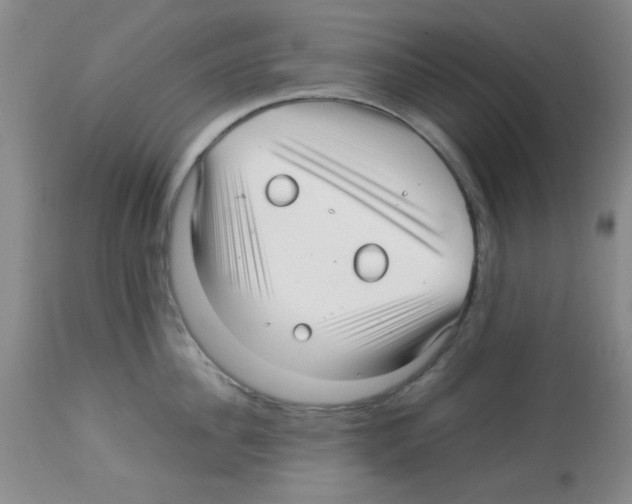 X0000113220956200910221122
