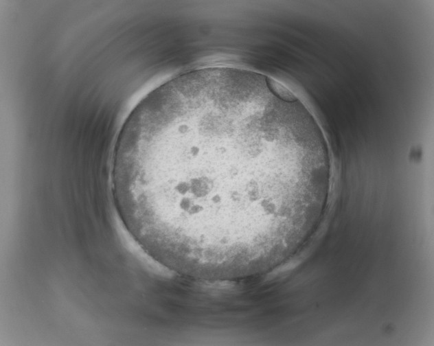 X0000113220957200910221122