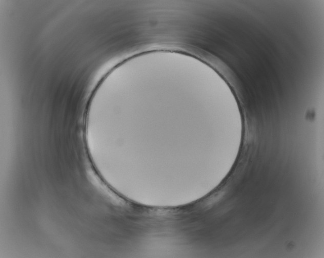 X0000113220958200910221122