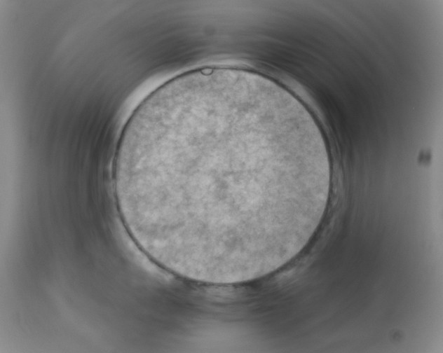 X0000113220959200910221122