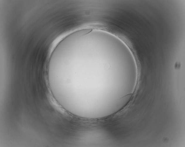X0000113220960200910221122