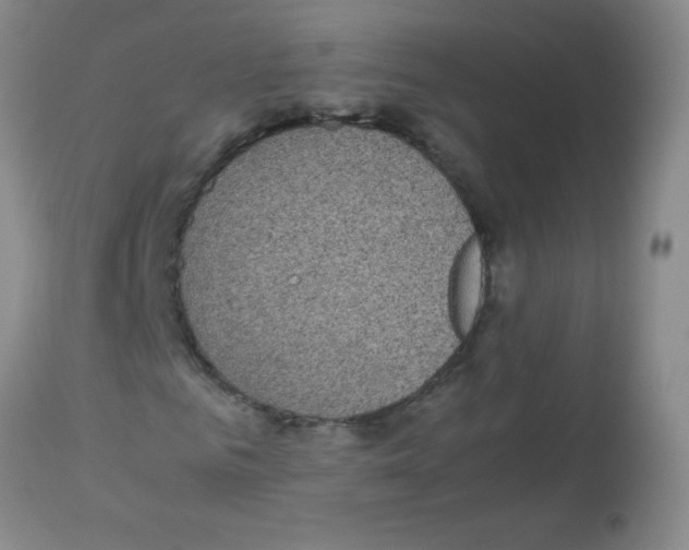 X0000113220961200910221121