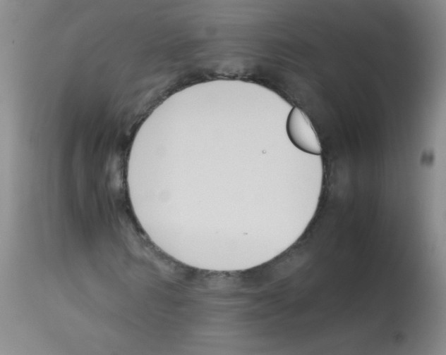 X0000113220962200910221121