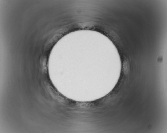 X0000113220963200910221121