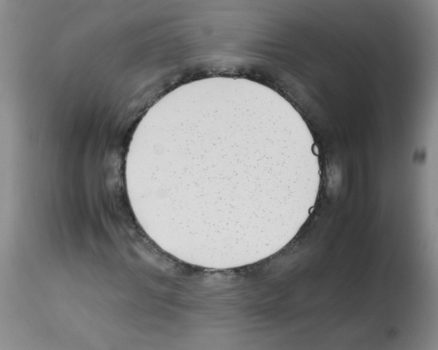 X0000113220964200910221121