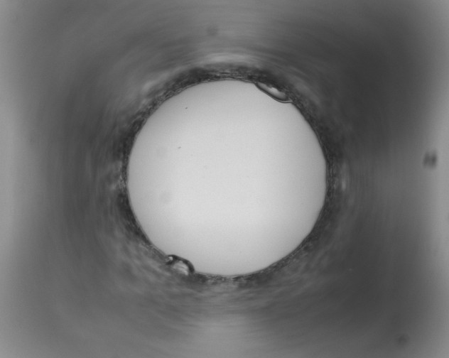 X0000113220965200910221121