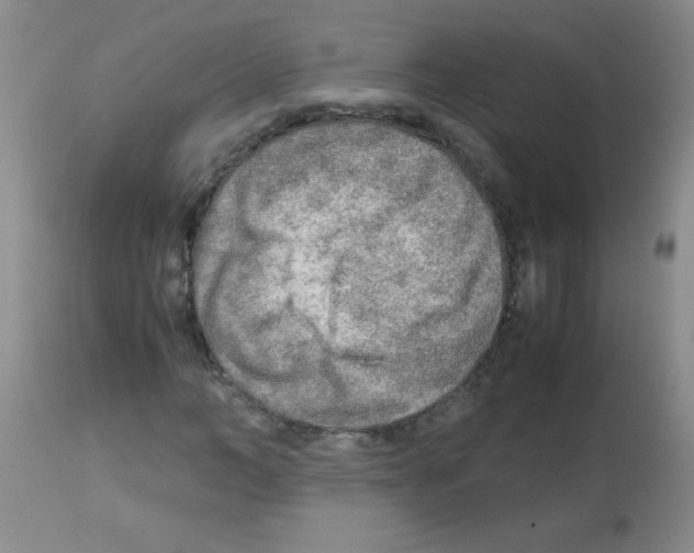 X0000113220966200910221121