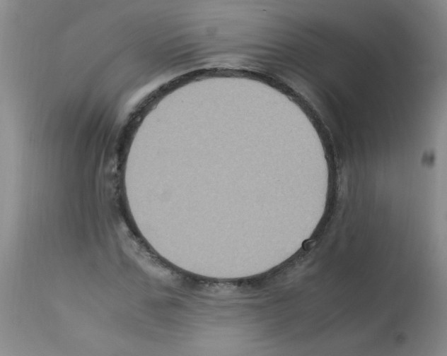 X0000113220971200910221121