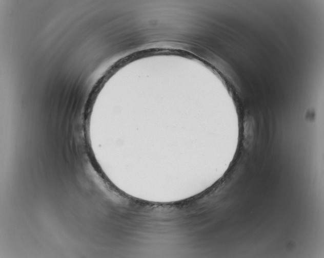 X0000113220972200910221121