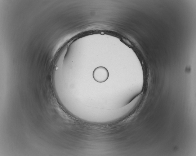 X0000113220973200910221121