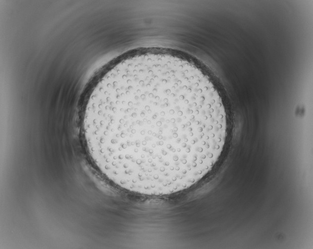 X0000113220974200910221121