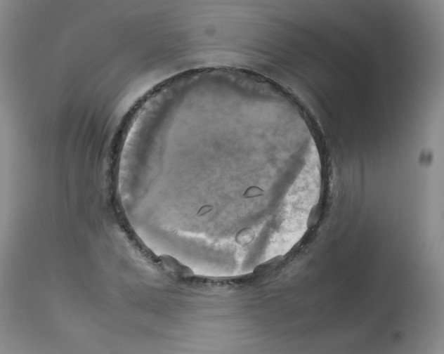 X0000113220975200910221121